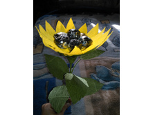 ��������� ��������� (7 ������)