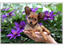 2 ������