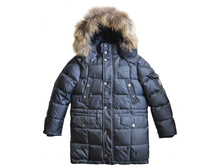 G15232gray7t enl.jpg