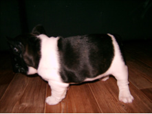 IMG 0104.JPG