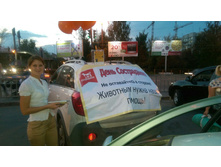 ����������� ������5.jpg