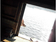 �������������