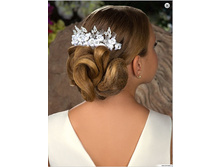 ������ � ��������� PACP021329.jpg