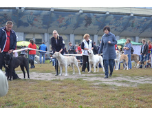 ���� �������