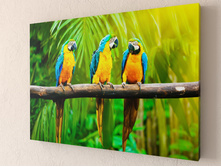 ������� �� �����.jpg