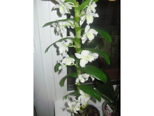 ���������� ������