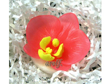 ������� ������� - 160 ���.