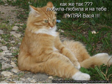 ���� ����� ����!))