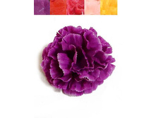 406/6008� �������� ������ 12��.