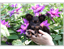 2 ������