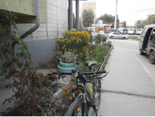 � �������� ������ � �������� � ������.