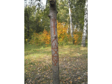 ���������� �������