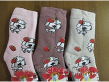 ������� �������� ����� UCS 1-50207.png