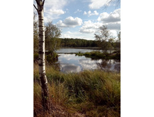 IMG 20150902 144738.jpg