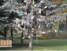 ����� �����.