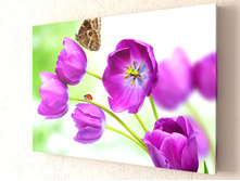 ����� �������.jpg