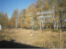 ������� �����