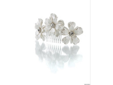 ������� PACP041444.jpg