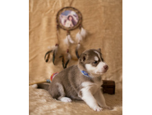 №3 �������