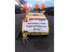 ��������� ��� ��������� ������.jpg