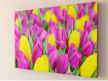 ��������� ��������.jpg