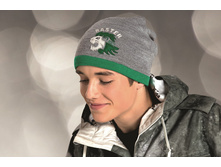 Raster 3960 maj2015.jpg