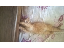 WP 20150924 10 38 33 Pro.jpg