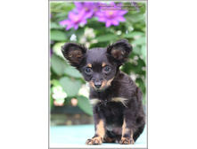 2 ������