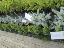 ����� ����874-�����1300-1800