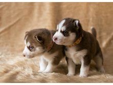 №3 ������� � №1 �������