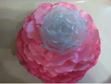 IMG 20150911 162537.jpg