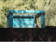 ������� ���, � ������ ��� ��������.