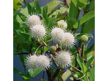 ������� �������� 20-30�� �3-7,49.jpg