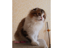 IMG 8105 — ����� (2).JPG