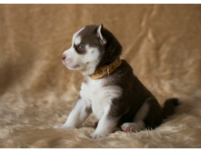 №1 �������