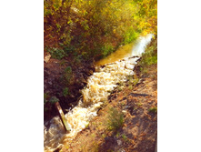 IMG 20150923 130635.jpg