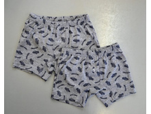 �����-����� ��� �������� (�� 08-013)