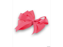 �������-����� ��� ����� PACP 021427.jpg