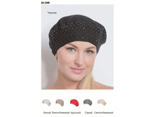 AN 4500 ������ 500�.jpg