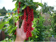 ��������� ������� ������-143