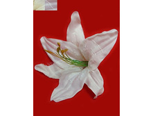 406/0126� ������ ����� ��������� (12�� � ��-��)