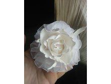 IMG 20150721 125618.jpg