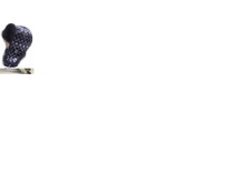 ����������14.png