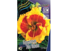 196,6���. �������� ������� �� ����(�������� ���� �� 1 ��., ����������� ����� 1��.).jpg