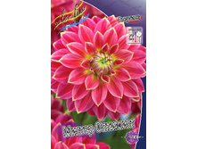 82���. �������� ������ ��������(�������� ���� �� 1 ��., ����������� ����� 1��.).jpg