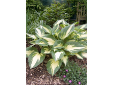 196,6���. ����� �������� �����(�������� ���� �� 1 ��., ����������� ����� 1��.)���16.jpg