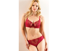 ������: 24510 �������