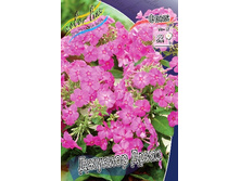 90,97���. ����� ������� ����(�������� ���� �� 3 ��., ����������� ����� 1��.).jpg