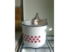 ���, ���������� �����?