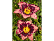 241,4���. �������� ������� �������(�������� ���� �� 1 ��., ����������� ����� 1��.)���16.jpg